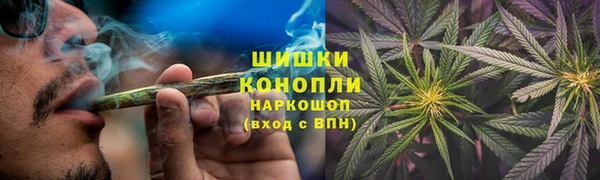 ГАЛЛЮЦИНОГЕННЫЕ ГРИБЫ Красноперекопск