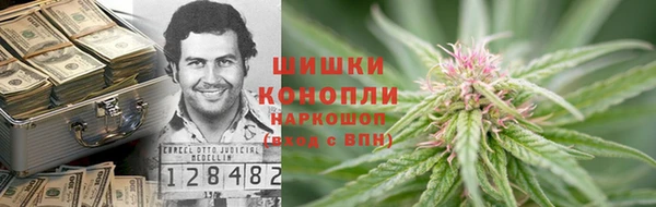 СК Краснослободск