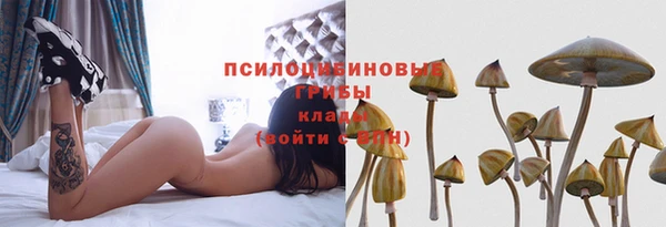 СК Краснослободск