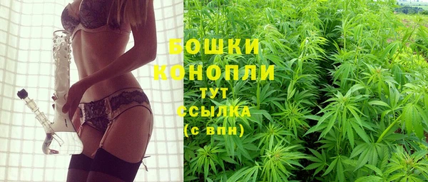 СК Краснослободск